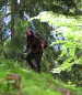Preview: Steiner Observer 10x42 Fernglas / Jagdglas