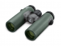 Preview: Swarovski CL Companion 10x30 - Auswahl: verschiedene