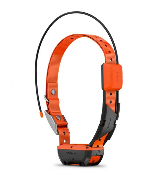 Garmin Alpha T20 K GPS Hundegerät / Hundehalsband